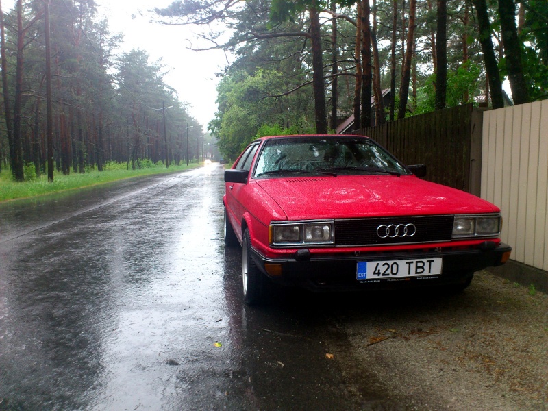 Klõpsa pildi vaatamiseks täissuuruses