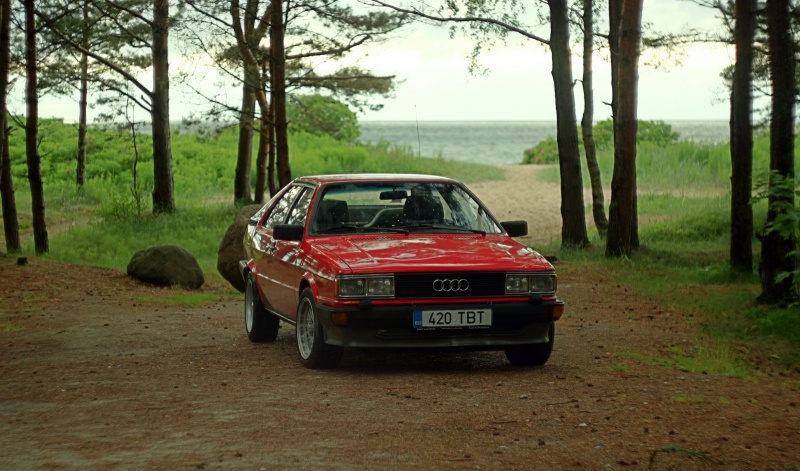 Klõpsa pildi vaatamiseks täissuuruses