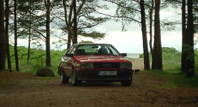 Klõpsa pildi vaatamiseks täissuuruses