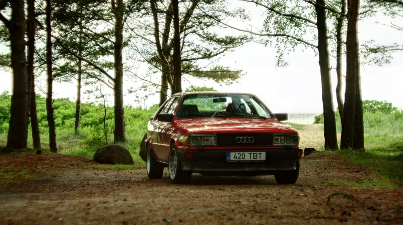 Klõpsa pildi vaatamiseks täissuuruses